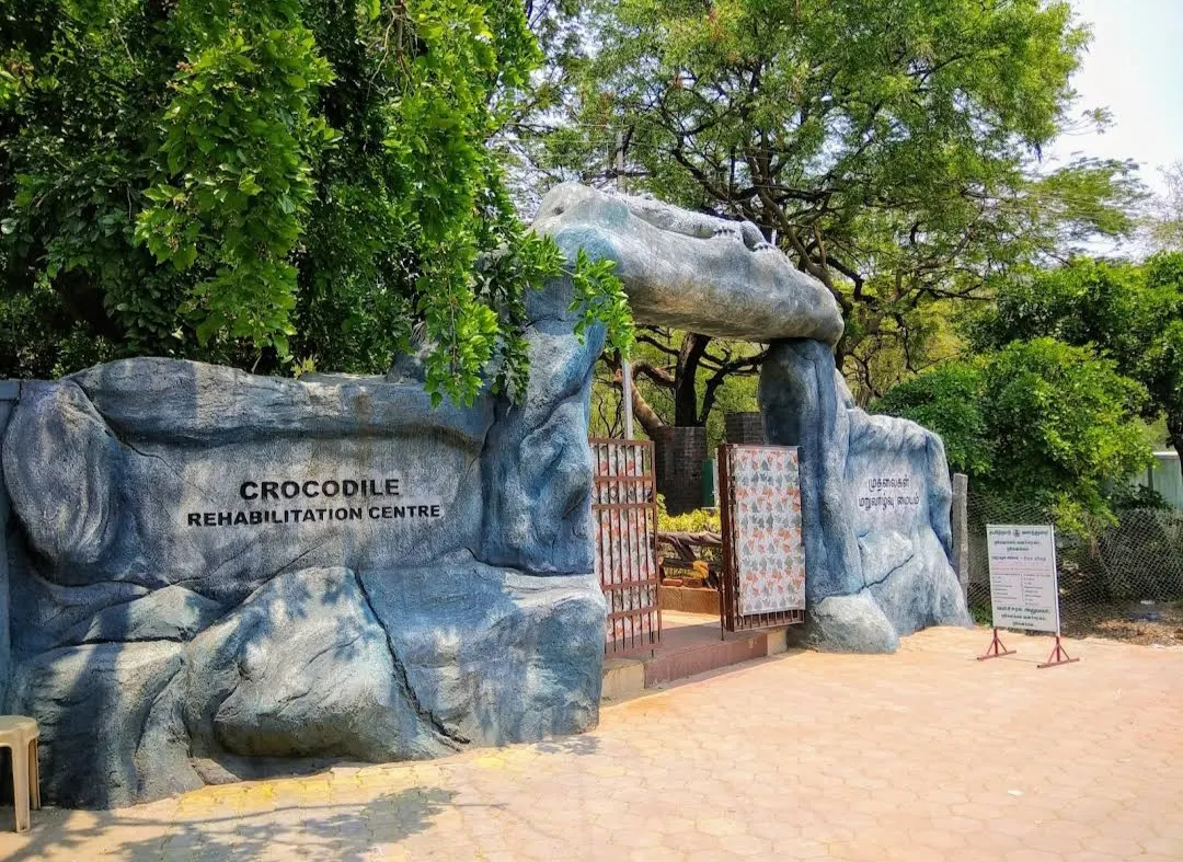 Crocodile Rehabilitation Centre